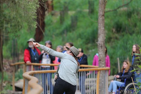 Walk With Wildlife: Guided Tour In Great Ocean Road - Phillip Island Accommodation 0