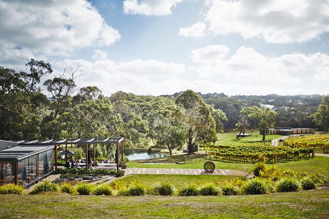 Mornington Peninsula 2-6 Guests Lunch, Wine And Pt Leo Estate Art Walk - Phillip Island Accommodation 2