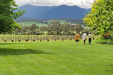Yarra Valley Wine Tasting Day Tour From Melbourne - Phillip Island Accommodation 6