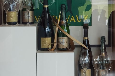 Yarra Valley Wine Tasting Day Tour From Melbourne - Phillip Island Accommodation 2