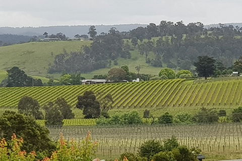 Yarra Valley Wine Tasting Day Tour From Melbourne - Phillip Island Accommodation 0