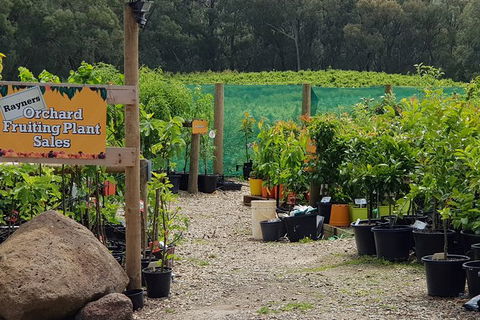 Yarra Valley Wineries And Rayners Orchard Tour From Melbourne - Phillip Island Accommodation 0