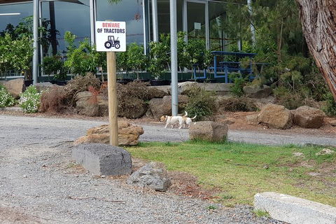 Yarra Valley Wineries And Rayners Orchard Tour From Melbourne - Phillip Island Accommodation 1