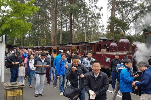 Day Tour Of Yarra Valley Puffing Billy And Rayners Orchard - Phillip Island Accommodation 3