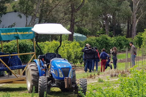 Day Tour Of Yarra Valley Puffing Billy And Rayners Orchard - Phillip Island Accommodation 10