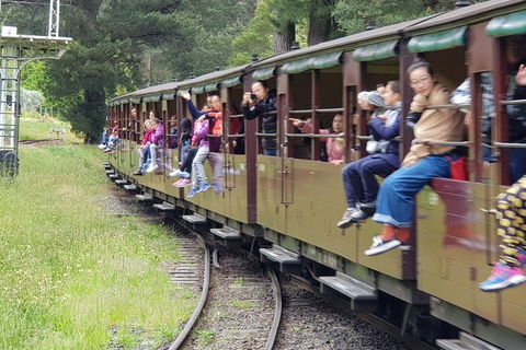 Day Tour Of Yarra Valley Puffing Billy And Rayners Orchard - Phillip Island Accommodation 13