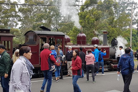 Day Tour Of Yarra Valley Puffing Billy And Rayners Orchard - Phillip Island Accommodation 4