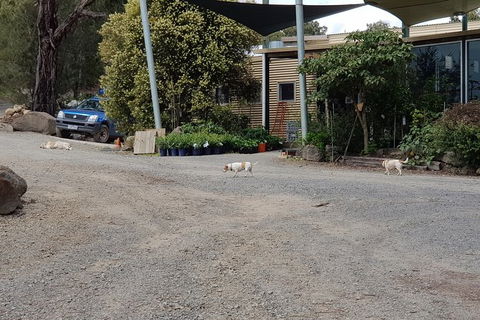 Day Tour Of Yarra Valley Puffing Billy And Rayners Orchard - Phillip Island Accommodation 26