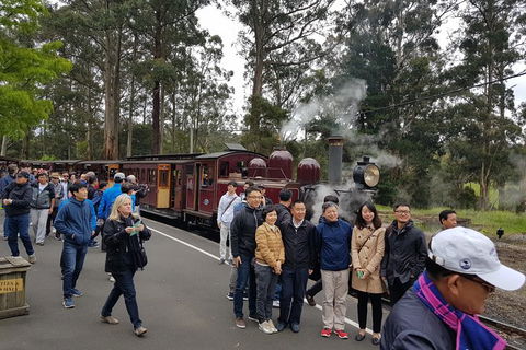 Day Tour Of Yarra Valley Puffing Billy And Rayners Orchard - Phillip Island Accommodation 9