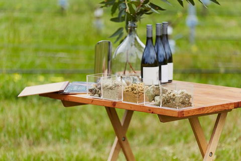 Organic Vineyard/Farm Tour - Phillip Island Accommodation 3