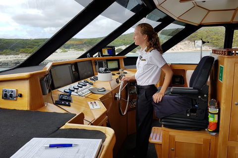 Full-Day Killer Whale Expedition From Albany - Phillip Island Accommodation 4
