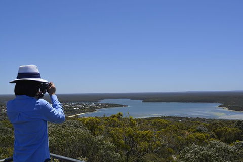 Full-Day Killer Whale Expedition From Albany - Phillip Island Accommodation 5