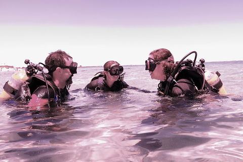 Scuba Dive The Beautiful Rottnest Island - Phillip Island Accommodation 3