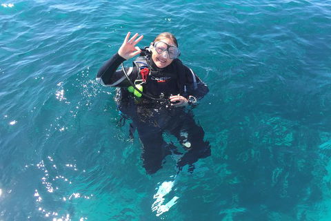 Scuba Dive The Beautiful Rottnest Island - Phillip Island Accommodation 5