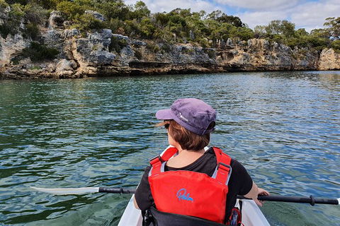 Cliffs And Caves Kayak Tour In Swan River - Phillip Island Accommodation 1