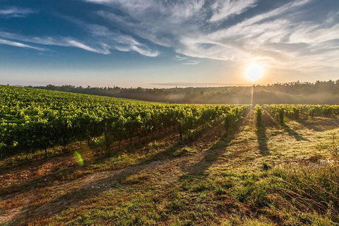 Perth To Margaret River Wine Tour - 2 Day Premium Boutique Wine Tour Experience - Phillip Island Accommodation 0