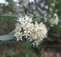 Booderee National Park - Phillip Island Accommodation