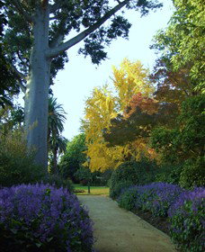 Albury Botanic Garden - Phillip Island Accommodation 0