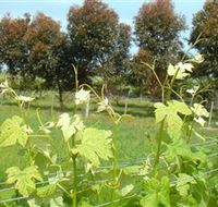 Barwon Ridge Wines - Phillip Island Accommodation