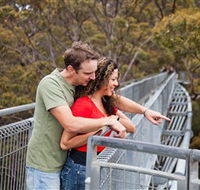 Valley of the Giants Tree Top Walk - Phillip Island Accommodation