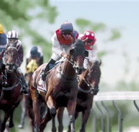 Colac Turf Club - Phillip Island Accommodation