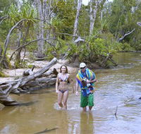 Tjuwaliyn / Douglas Hot Springs Park - Phillip Island Accommodation