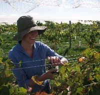 Kingsdale Wines - Phillip Island Accommodation
