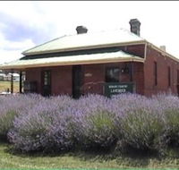 Lavender House in Railway Park - Phillip Island Accommodation