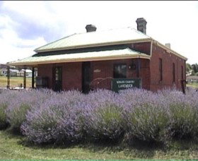 Lavender House In Railway Park - Phillip Island Accommodation 0