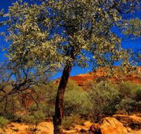 Mt Romance Australia Pty Ltd - Phillip Island Accommodation