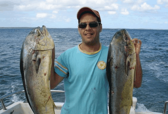 Jervis Bay Fishing and Charters - Phillip Island Accommodation