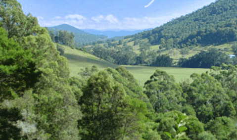 Blue Poles Gallery - Phillip Island Accommodation 1