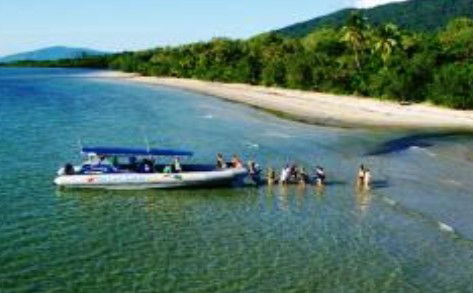 Cape Tribulation QLD Phillip Island Accommodation