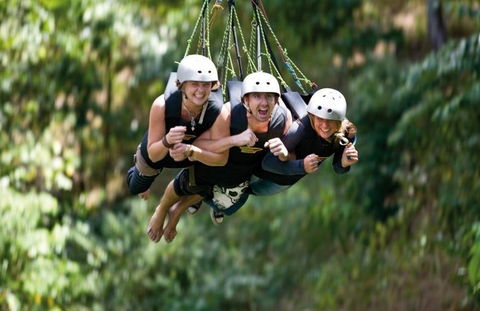 AJ Hackett Cairns - Phillip Island Accommodation 4