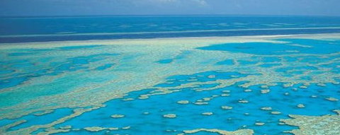 Aristocat Snorkel And Scuba Port Douglas - Phillip Island Accommodation 3