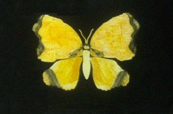 Ashworths - Phillip Island Accommodation