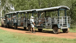 Whitsunday Crocodile Safari - Phillip Island Accommodation 2