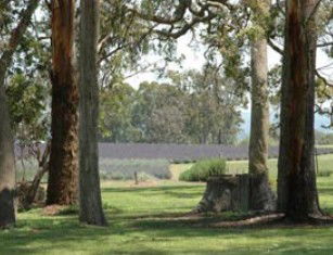 Glenlyon QLD Phillip Island Accommodation