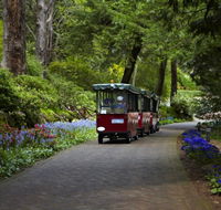 Araluen Botanic Park - Phillip Island Accommodation