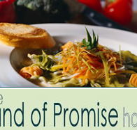 Land of Promise Hotel - Phillip Island Accommodation