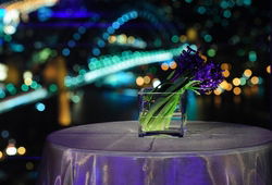 Summit - Orbit Lounge Bar - Phillip Island Accommodation 3