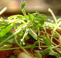 Wild Hearts Cafe Restaurant - Phillip Island Accommodation