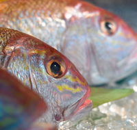 Coro Hotel - Lure Seafood Restaurant - Phillip Island Accommodation