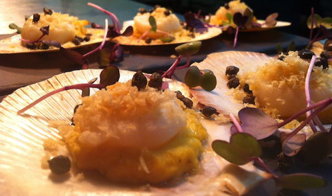 Shangri-La Gardens - Phillip Island Accommodation 1