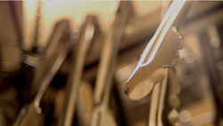 Standard Hotel - Phillip Island Accommodation 1