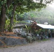 Ellis Beach Bar  Grill - Phillip Island Accommodation
