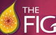 Pickled Fig - thumb 0