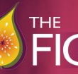 Pickled Fig - Phillip Island Accommodation