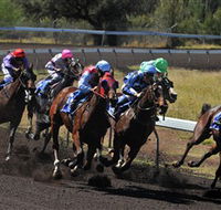 Alice Springs Turf Club - Phillip Island Accommodation