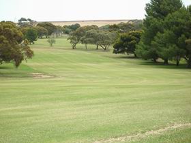 Ardrossan Golf Club - Phillip Island Accommodation 1